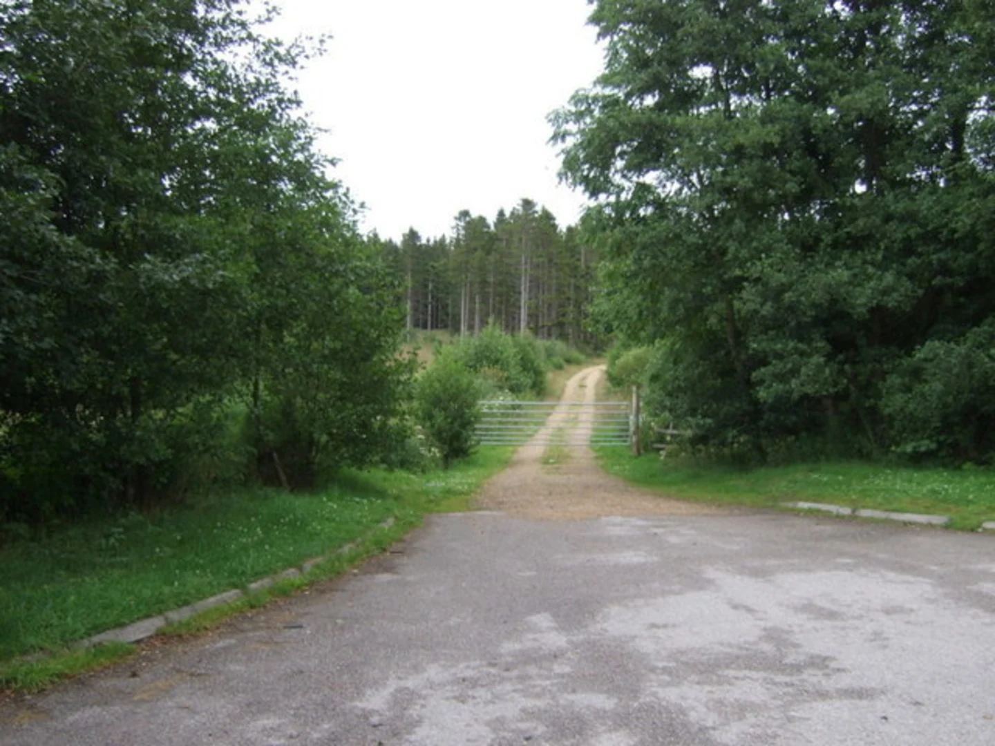 An image depicting the trail The Bin via Gallon of Water Loop Trail and its surrounding area.