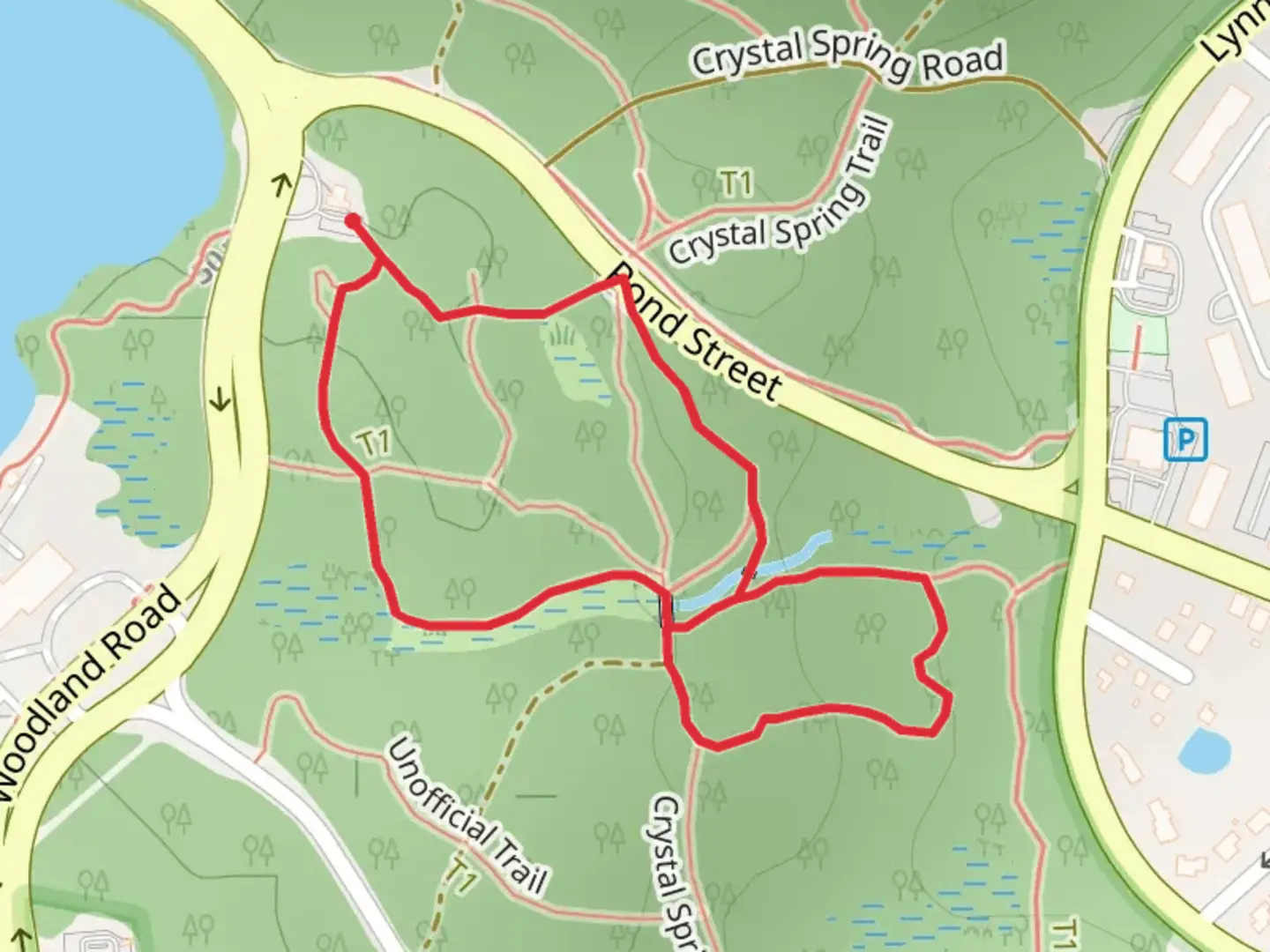 An image depicting the trail Spot Pond - East Loop and its surrounding area.