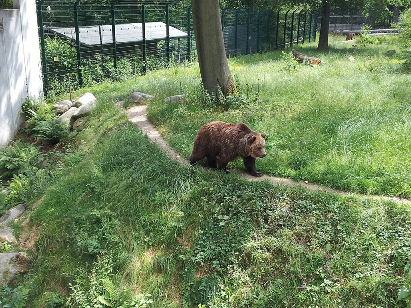 An image depicting the trail Hexentanzplatz, Walpurgishalle and Spaßinsel Loop and its surrounding area.
