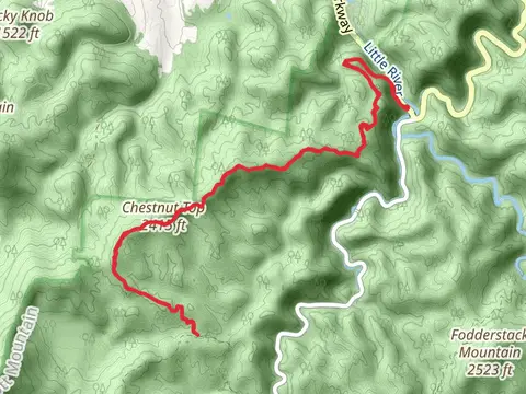 Dosey Gap and Chestnut Top Lead via Chestnut Top Trail