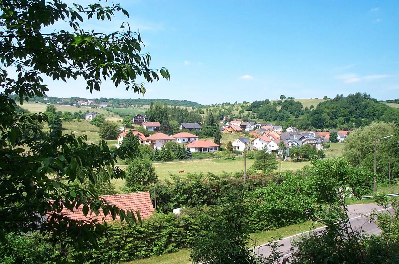 An image depicting the trail Mannebach Loop and its surrounding area.
