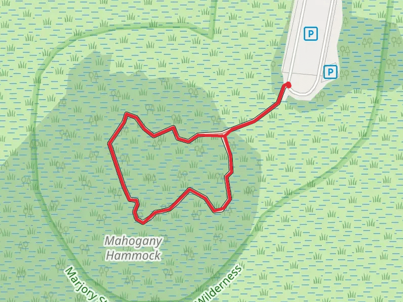 Mahogany Hammock Loop Trail