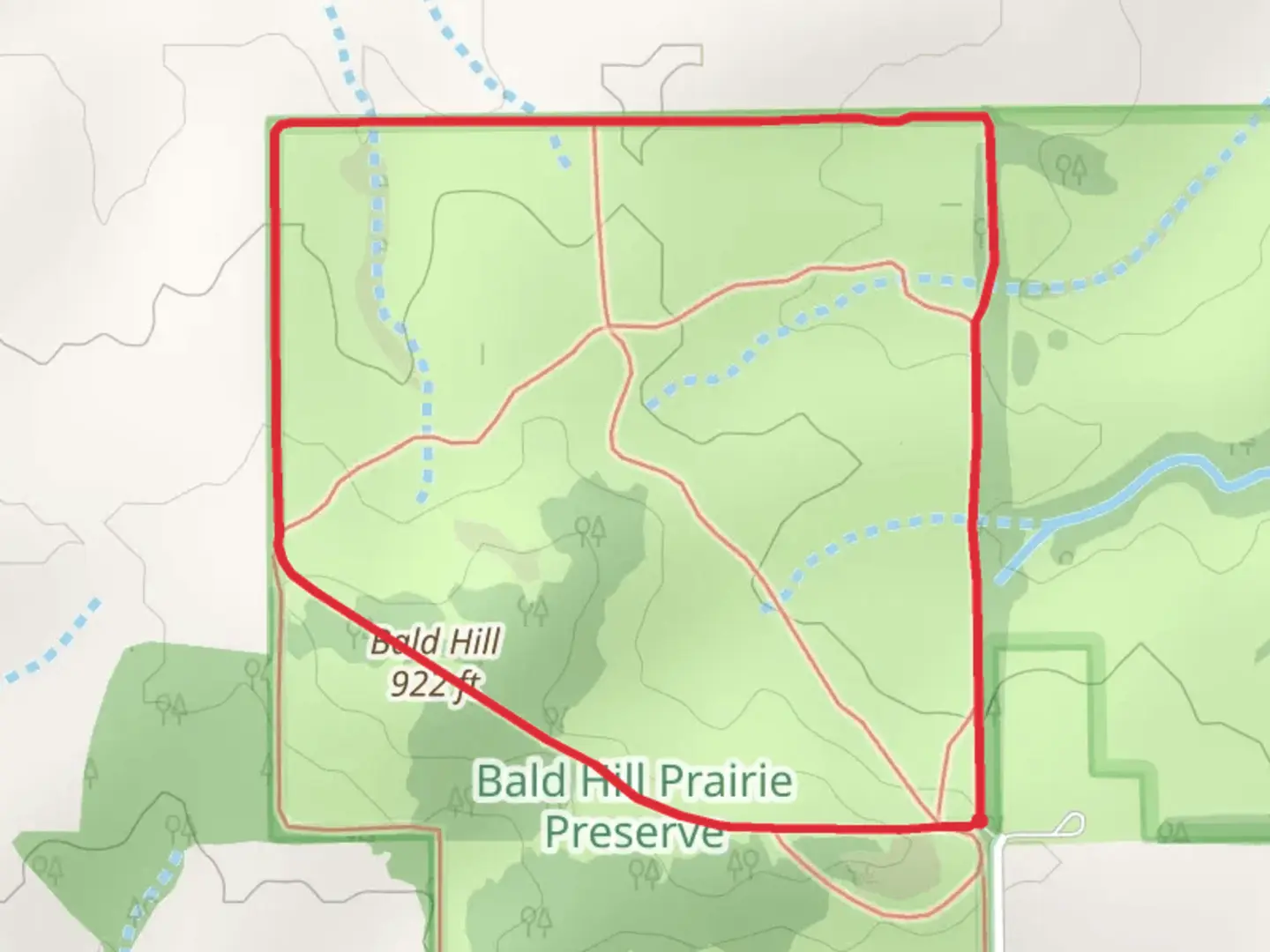 An image depicting the trail Bald Hill and Big Tree Loop Trail and its surrounding area.