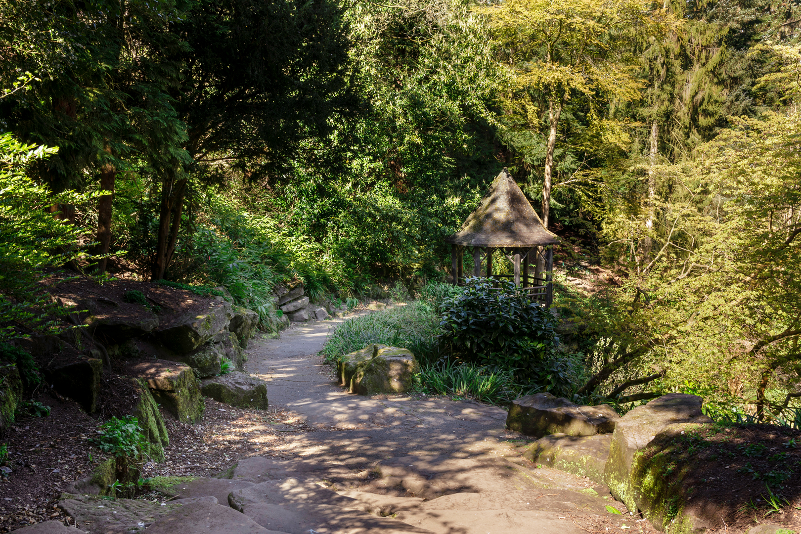 An image depicting the trail Fife Pilgrim Way and its surrounding area.
