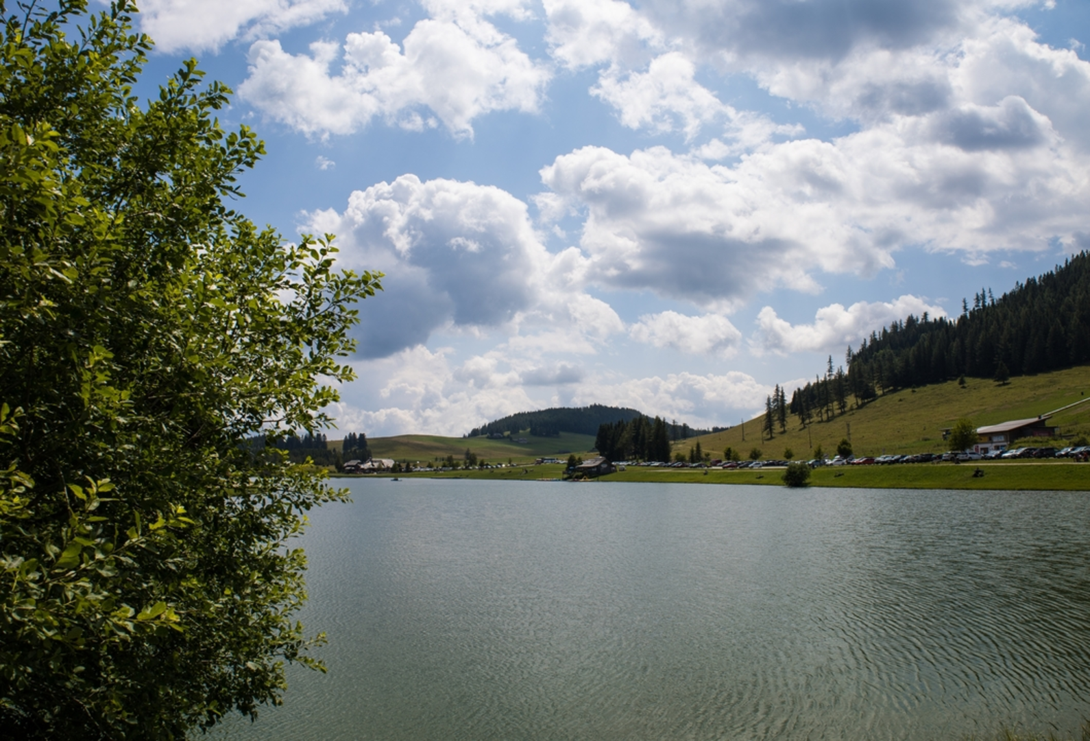 An image depicting the trail Osser Loop from Lake Teichalmsee and its surrounding area.