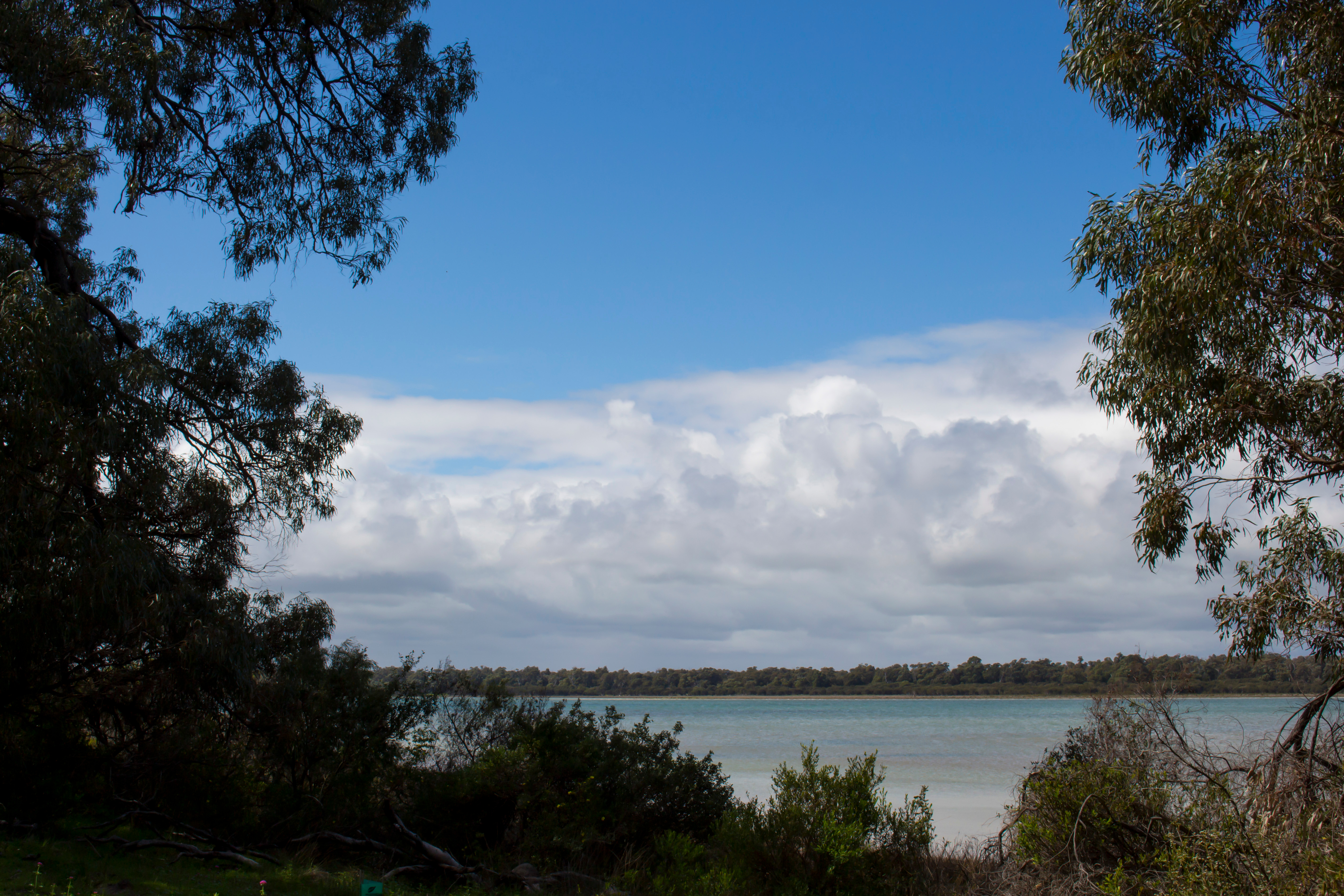 An image depicting the trail Yalgorup National Park and its surrounding area.