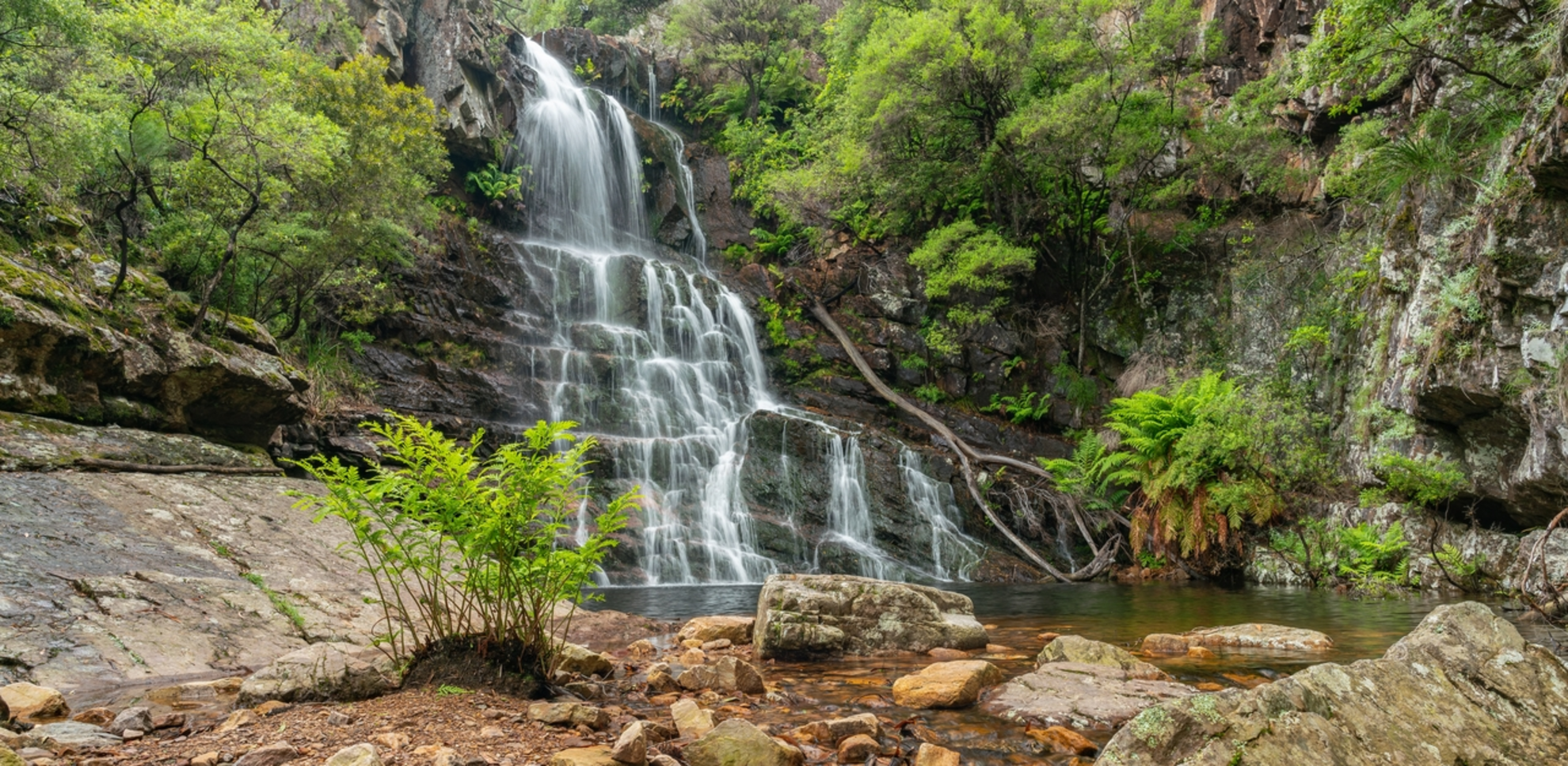 An image depicting the trail Kanangra Waterfall Walk and its surrounding area.