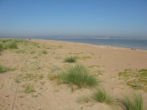 An image depicting the trail Saxon Way and Sandwich Bay Bird Observatory Trust and its surrounding area.