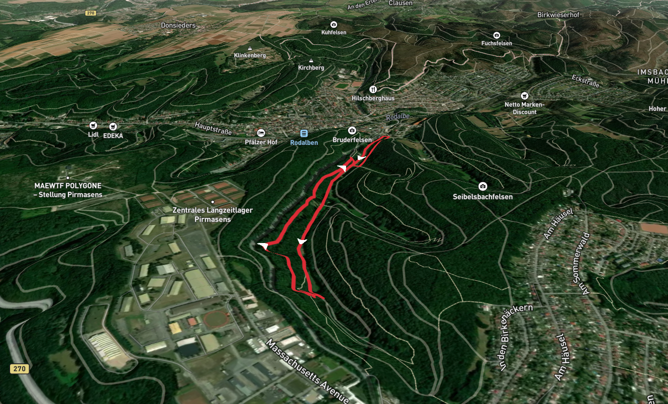 Rodalber Felsenwanderweg and Pfaelzerwald Gruener Balken Loop