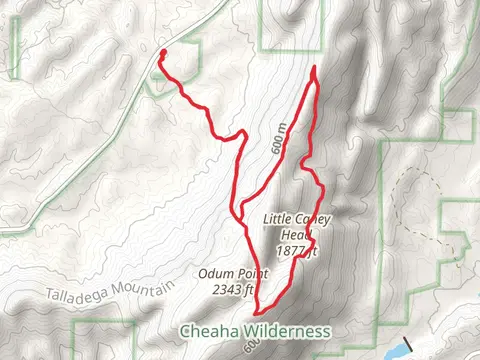 Parker High Point via Chinnabee Silent Trail, Odum Trail and Nubbin Creek Loop Trail