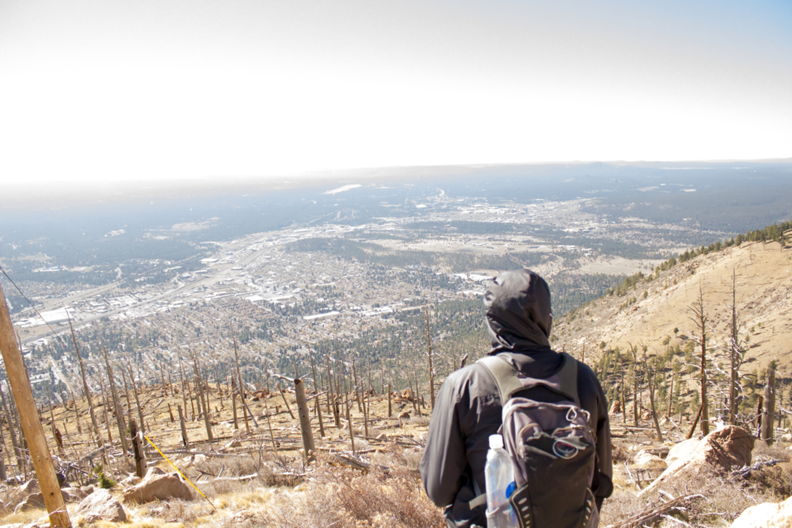 An image depicting the trail Christmas Tree Trail and its surrounding area.