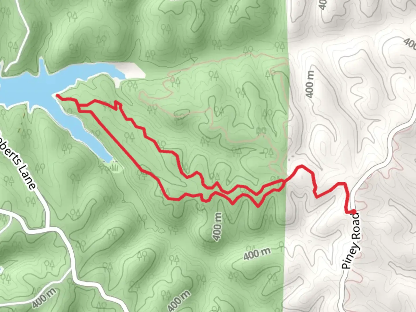 An image depicting the trail Bashore Ridge Loop and its surrounding area.