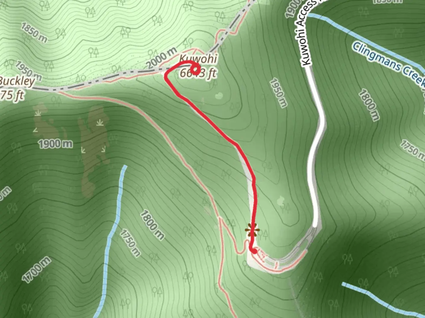 An image depicting the trail Clingmans Dome Trail and its surrounding area.