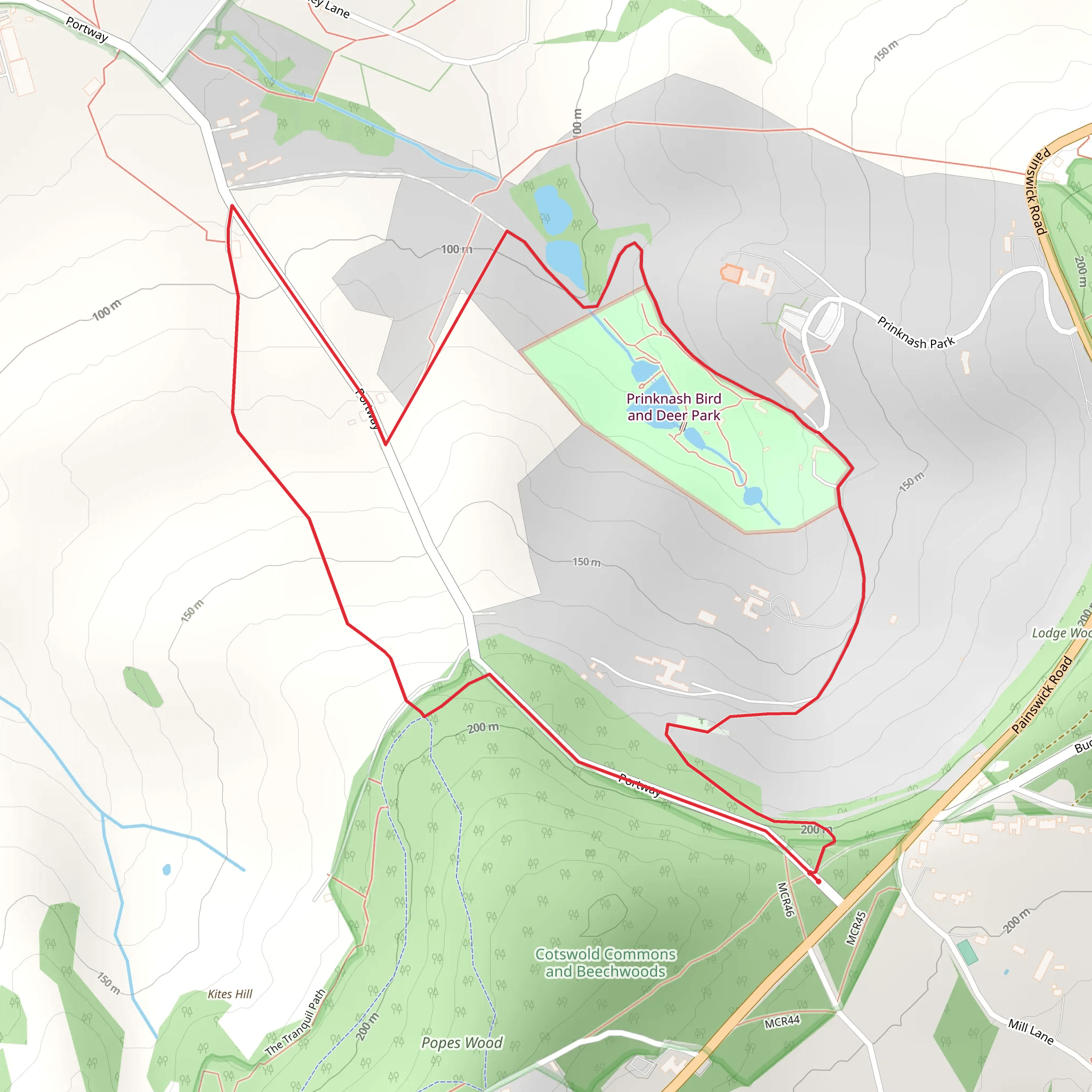 Prinknash Park Loop mobile static map