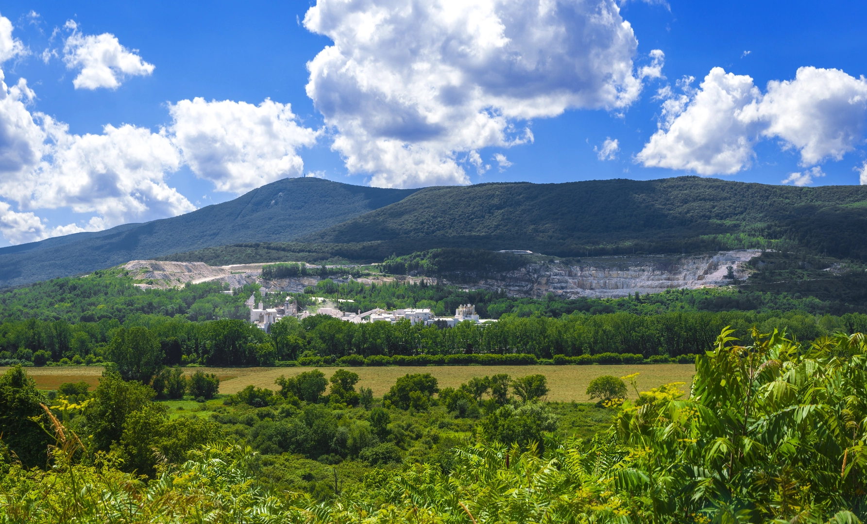 An image depicting the trail Appalachian Trail - Massachusetts and its surrounding area.
