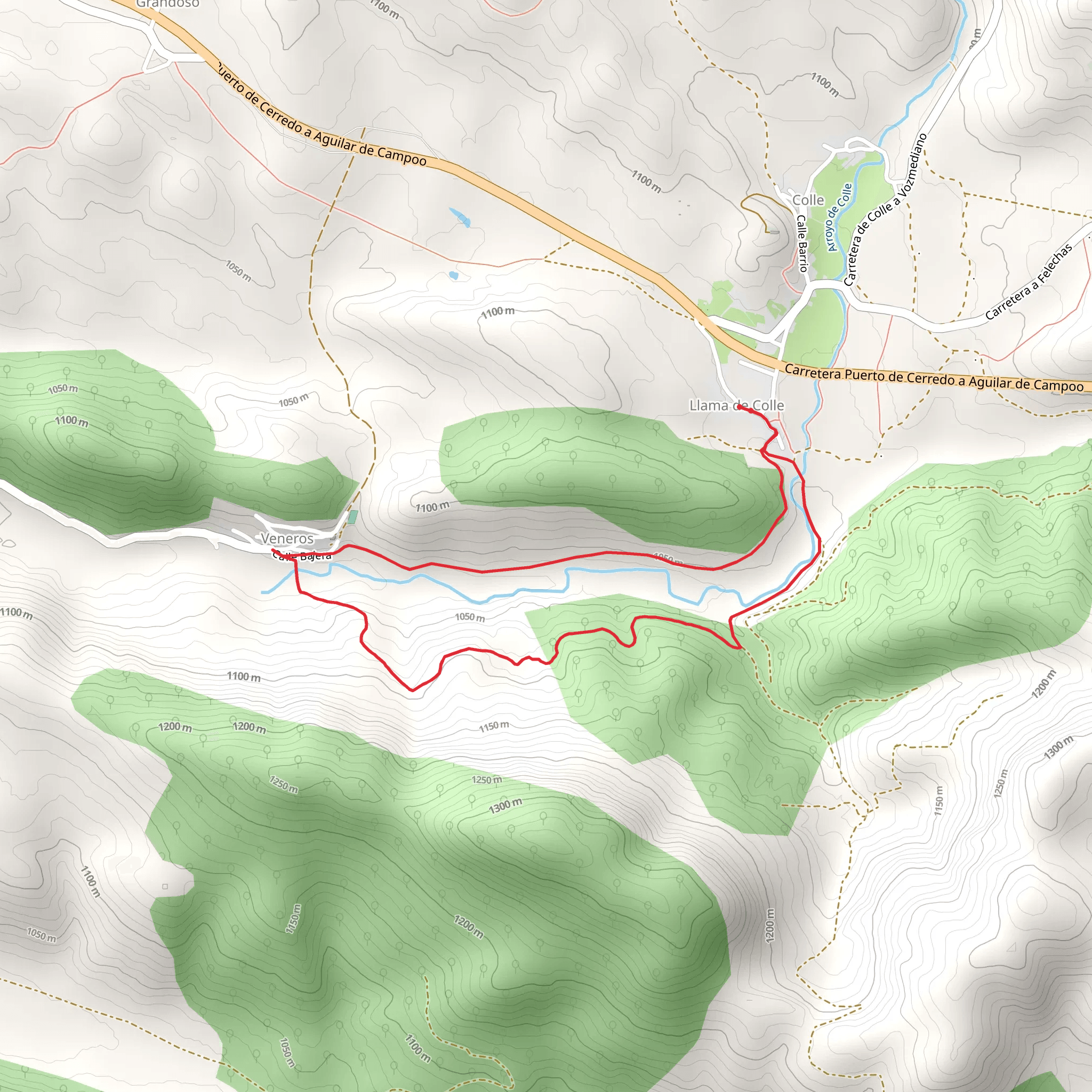 Road from Veneros to Llama SL LE 5 mobile static map