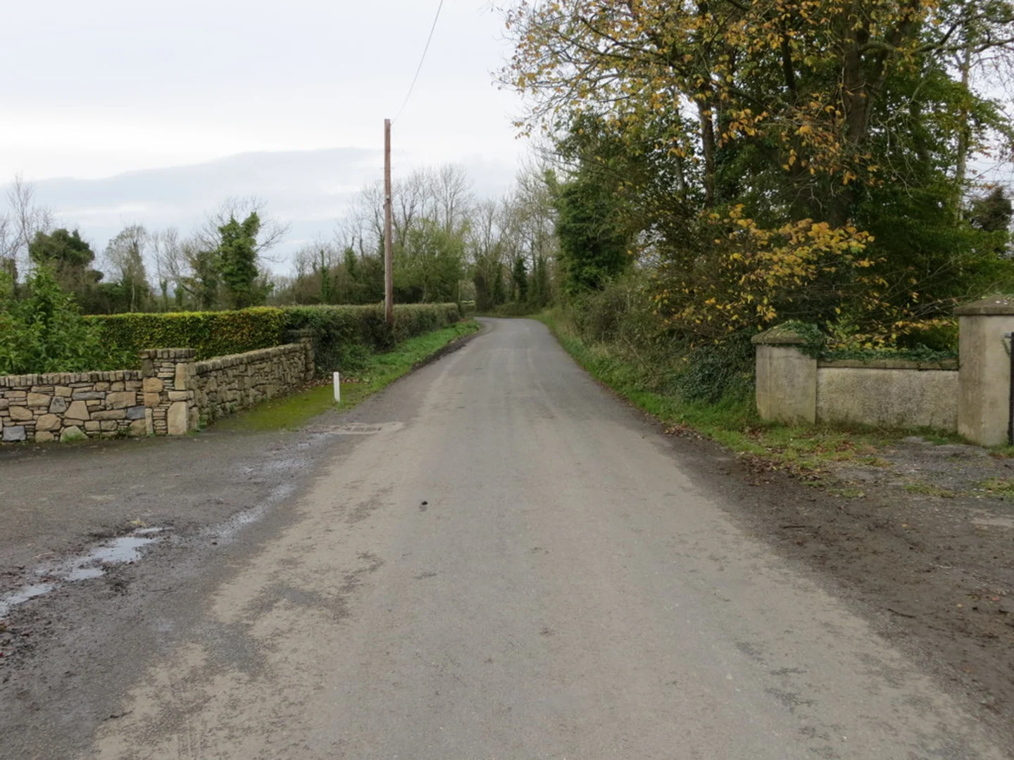 An image depicting the trail Granstown Wood and Lake Nature Reserve Woodland Trail and its surrounding area.