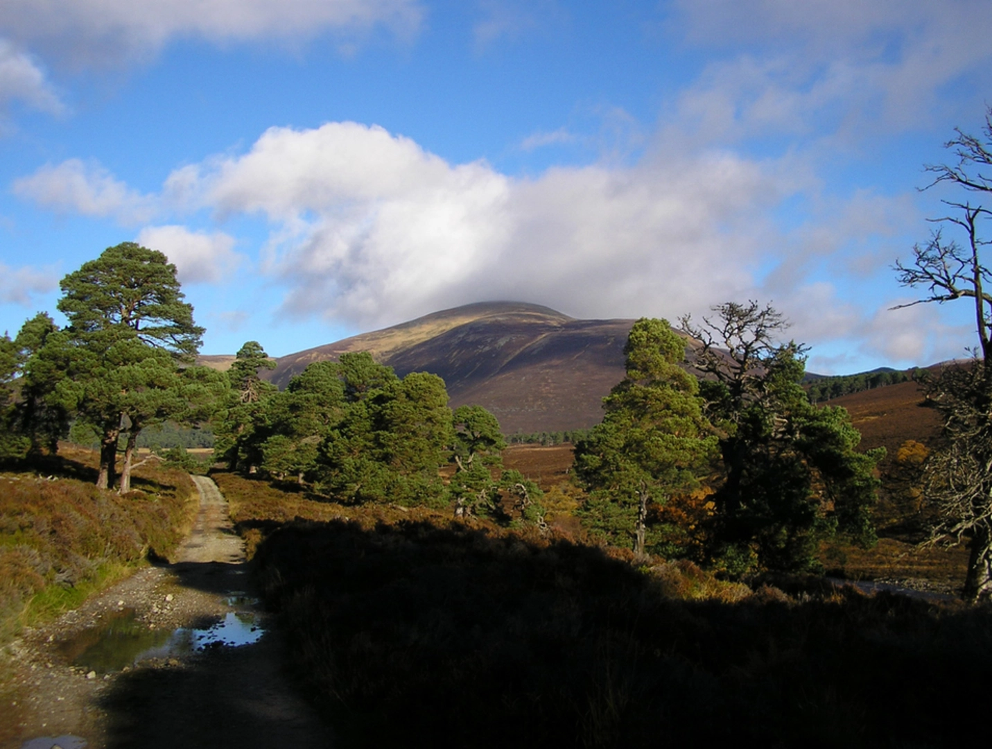 An image depicting the trail Beinn a' Bhuird Loop via Dubh Lochan and its surrounding area.