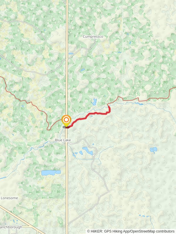 Withlacoochee River via Florida National Scenic Trail