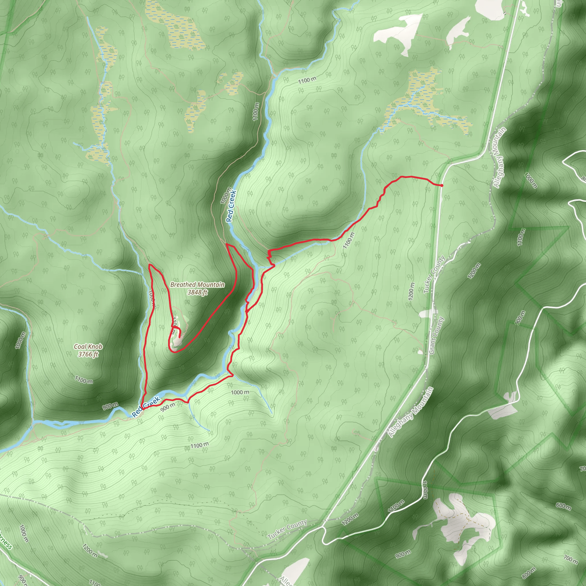 Fisher SPring Run, Red Creek and Rocky Point Loop Trail mobile static map