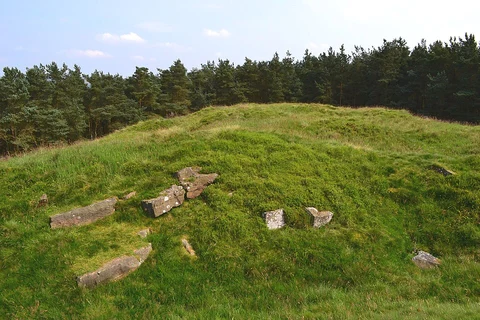 An image depicting the trail Wooler Knoll Loop and its surrounding area.