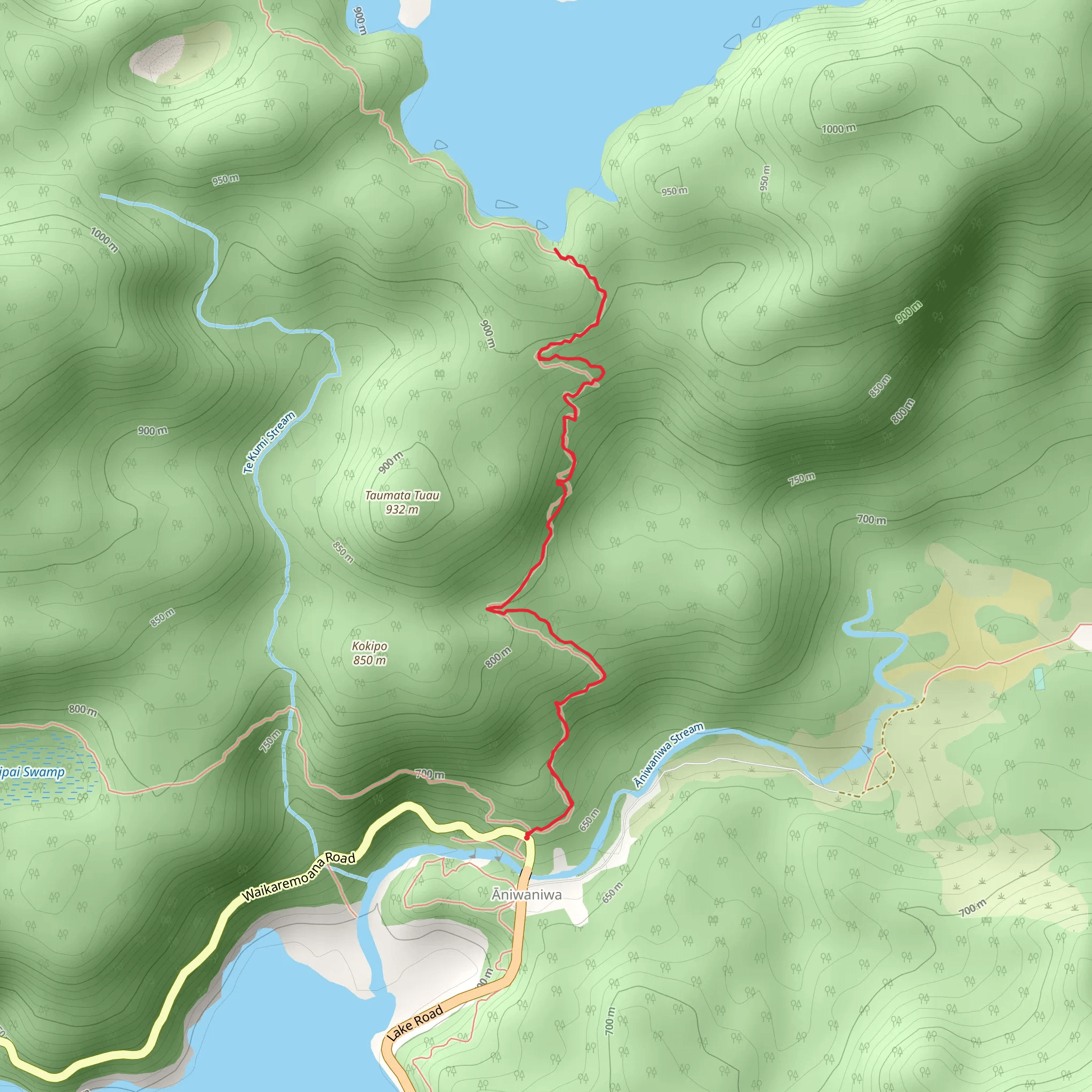 Lake Waikareiti Walk mobile static map