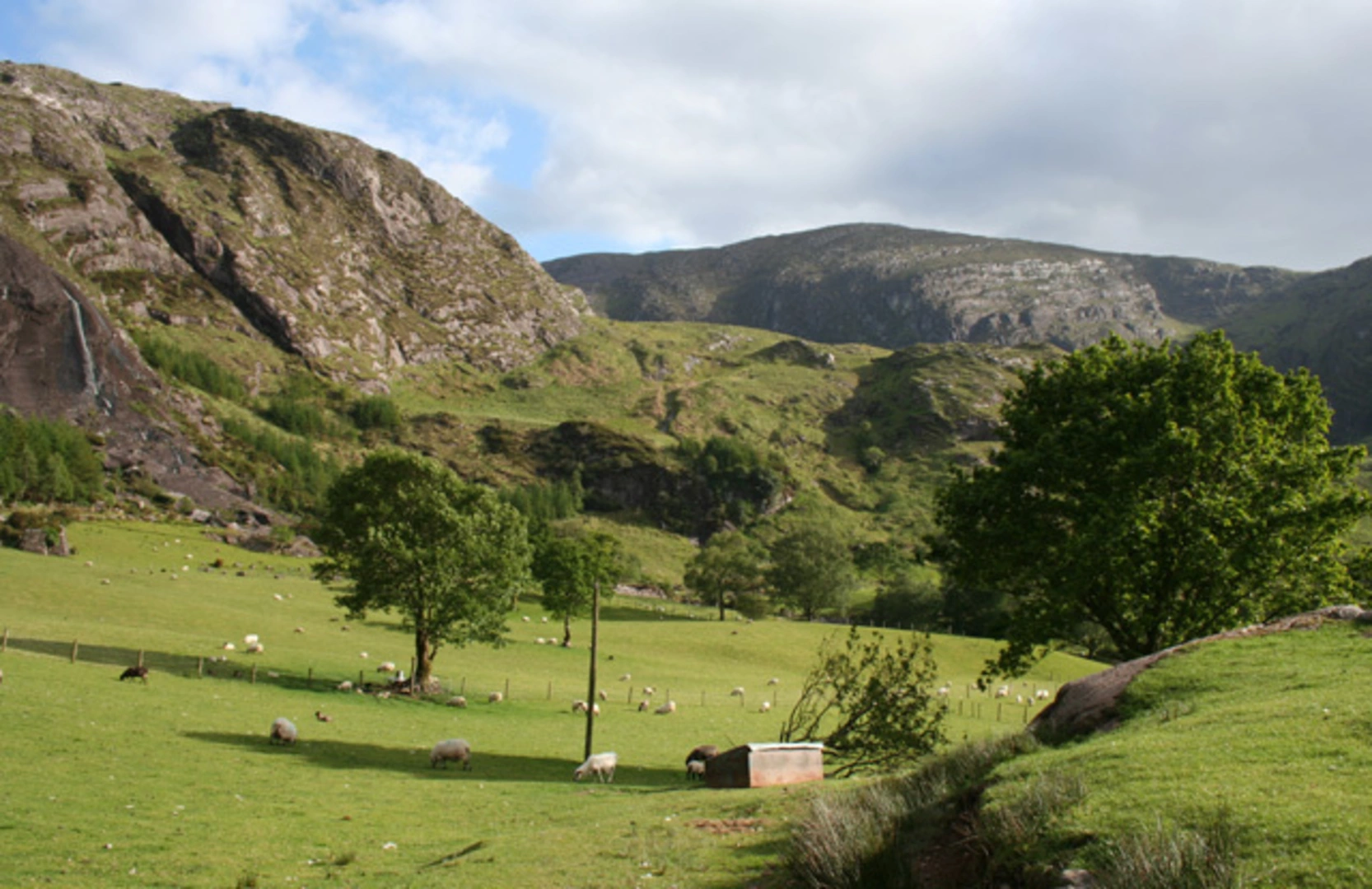 An image depicting the trail Knocknagorraveela and Knocknagorraveela North East Top via Beara Way and its surrounding area.