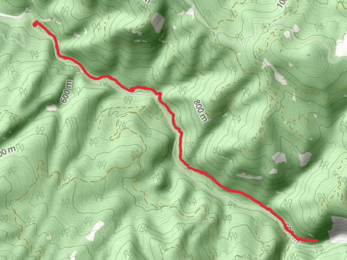 An image depicting the trail Brice Creek Trail from Cedar Creek Campground and its surrounding area.
