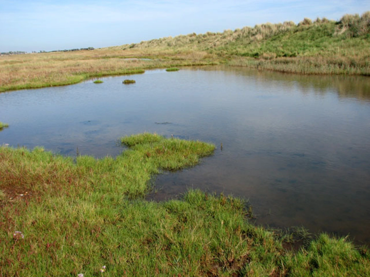 An image depicting the trail Suffolk Coast National Nature Reserve Walk and its surrounding area.