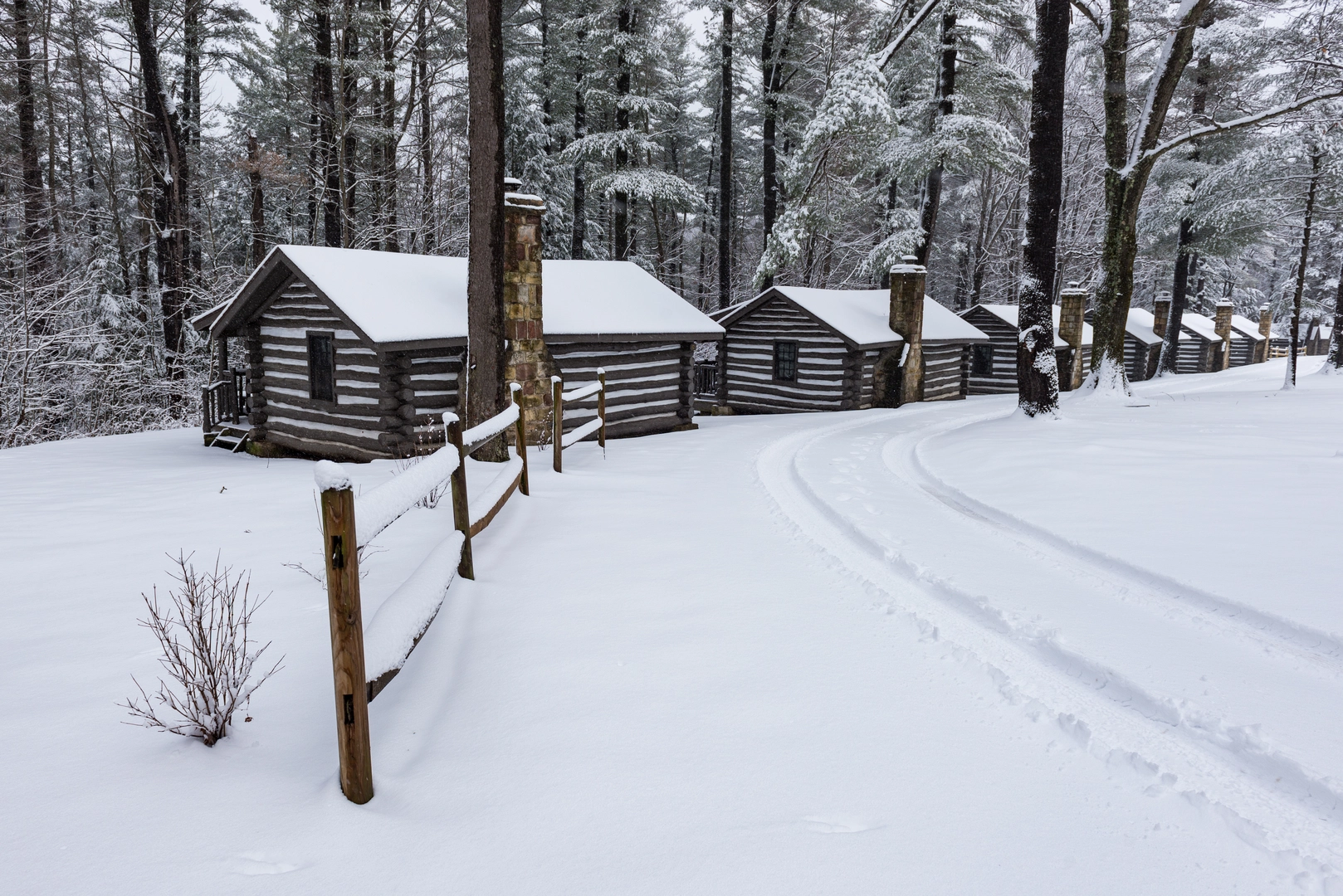 An image depicting the trail Black Moshannon State Park Loop and its surrounding area.