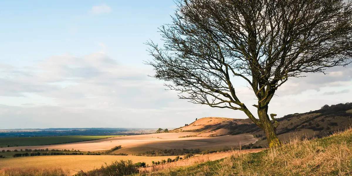 Ivinghoe Beacon Ridgeway from Aldbury