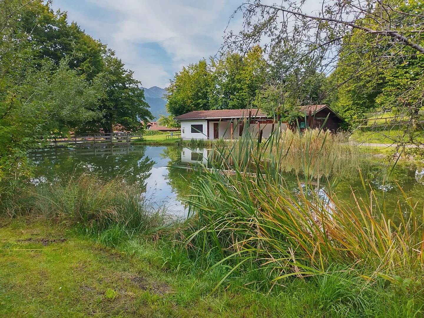 An image depicting the trail Fischweier, Burbach and Mauswiesen Loop and its surrounding area.