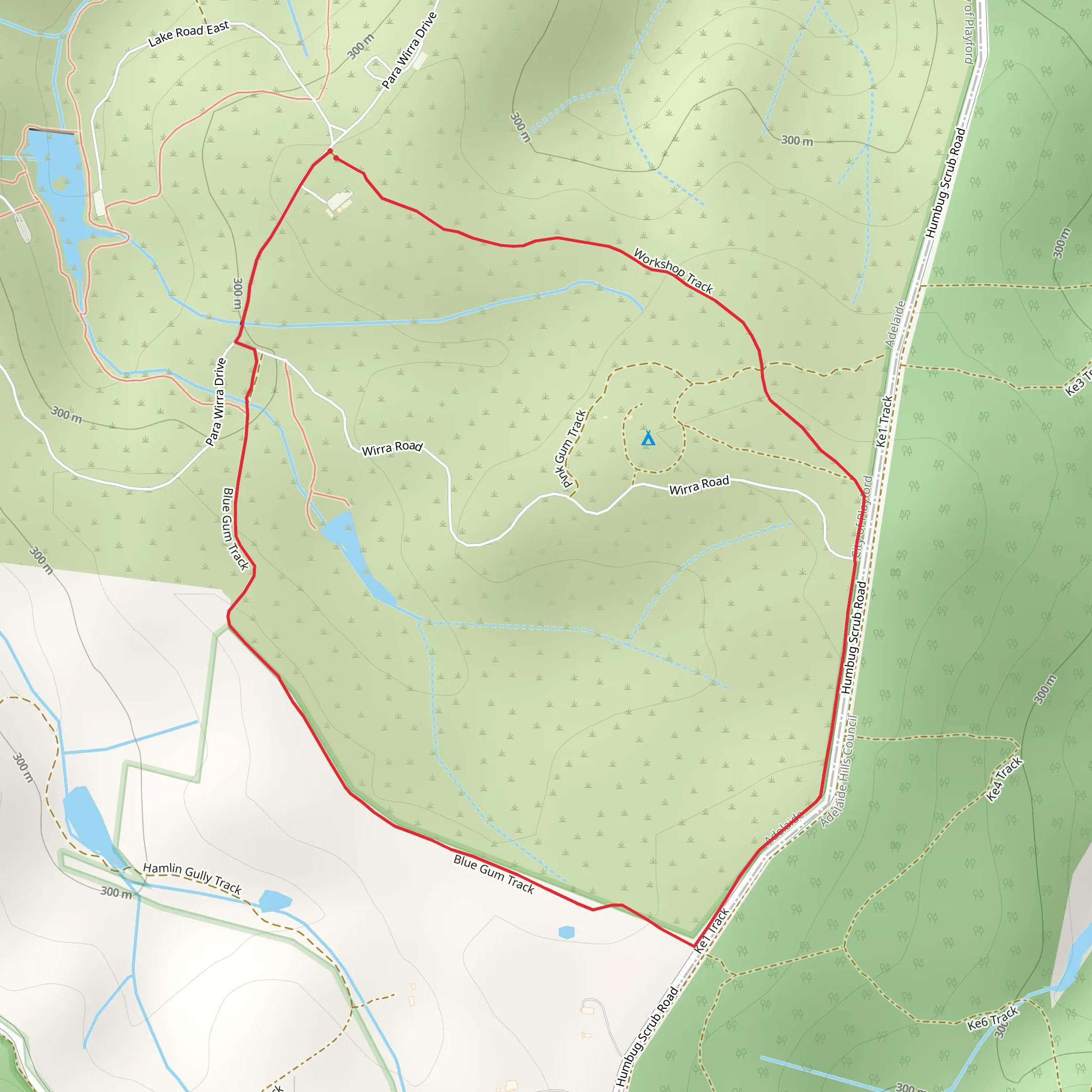 Tree Creeper Loop Track mobile static map