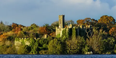 An image depicting the trail Knockvicar - Bog Loop and its surrounding area.