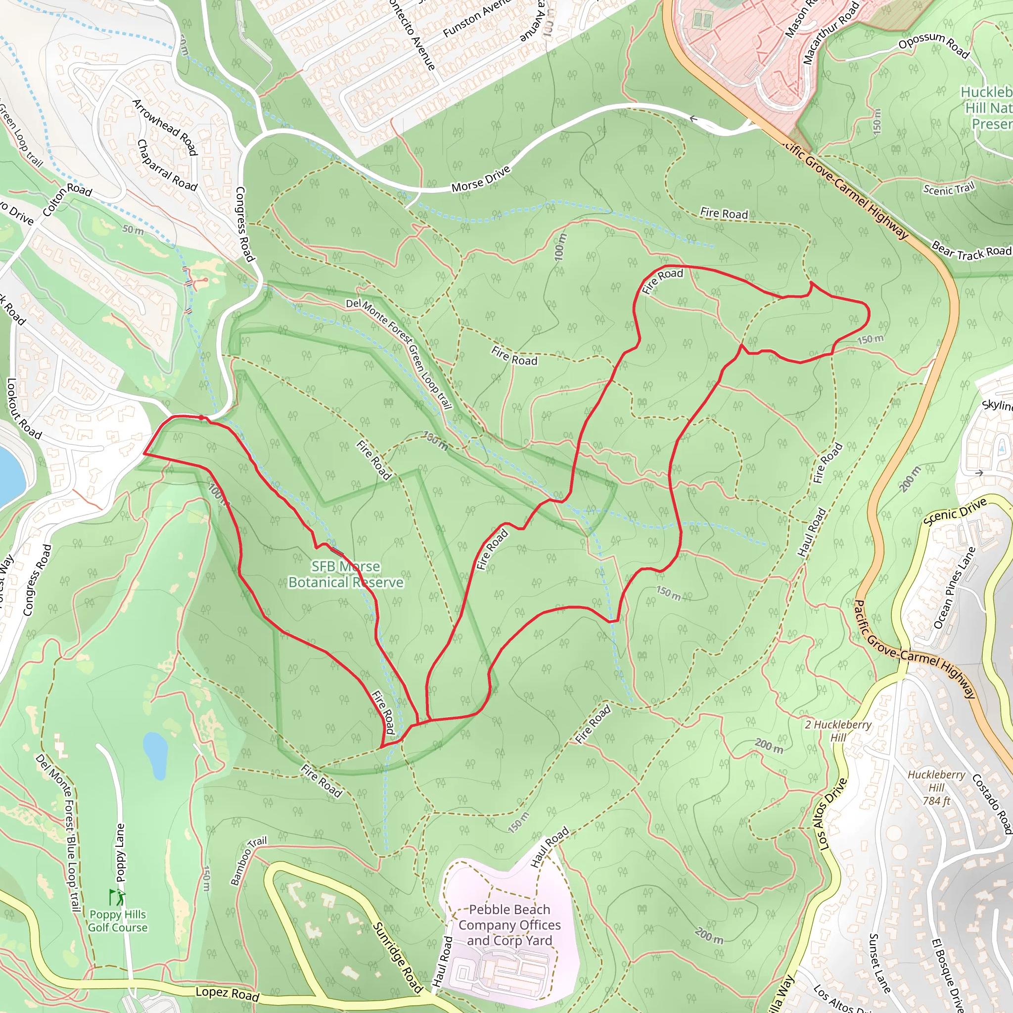 S F B Morse Botanical Reserve Loop mobile static map
