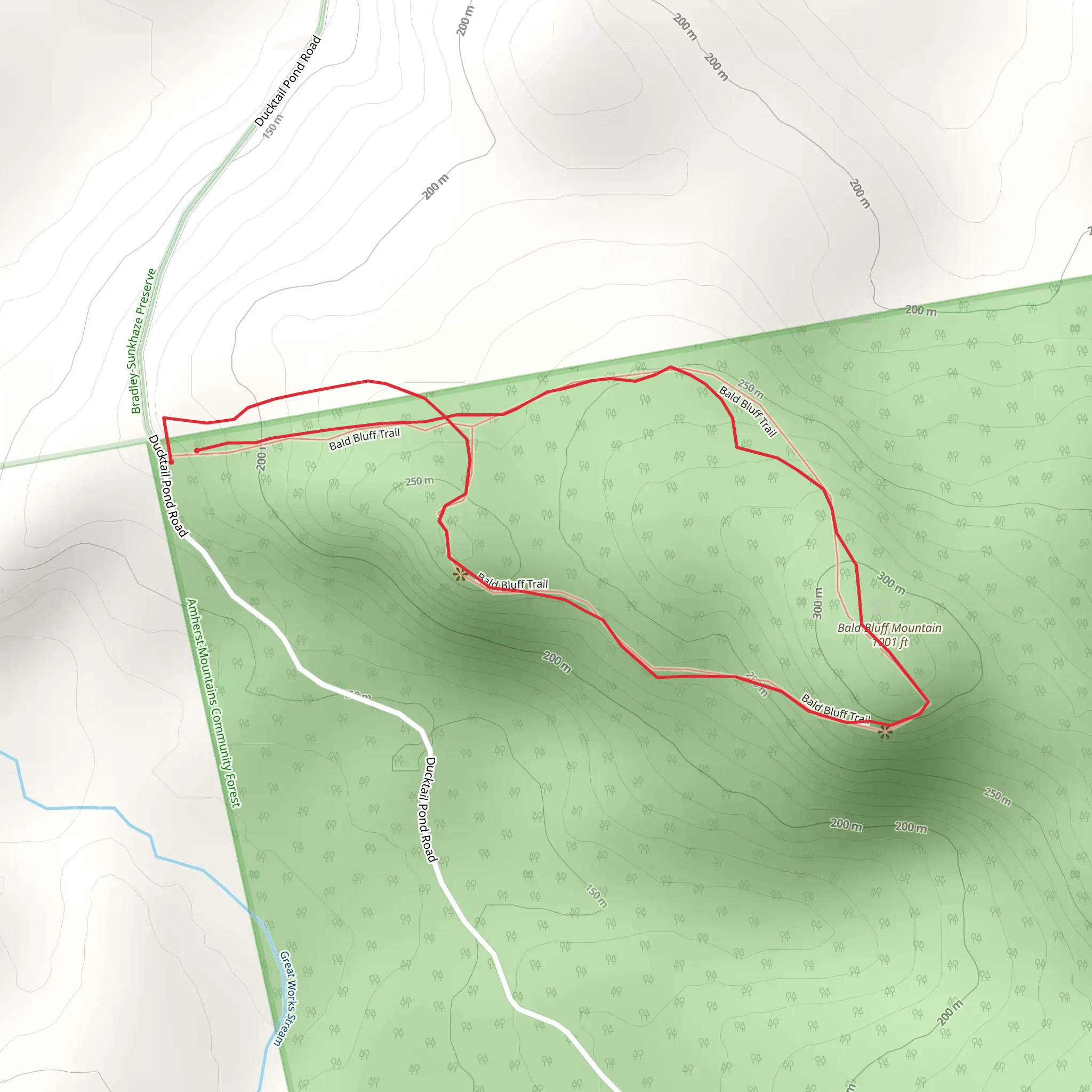 Bald Bluff Mountain Loop mobile static map