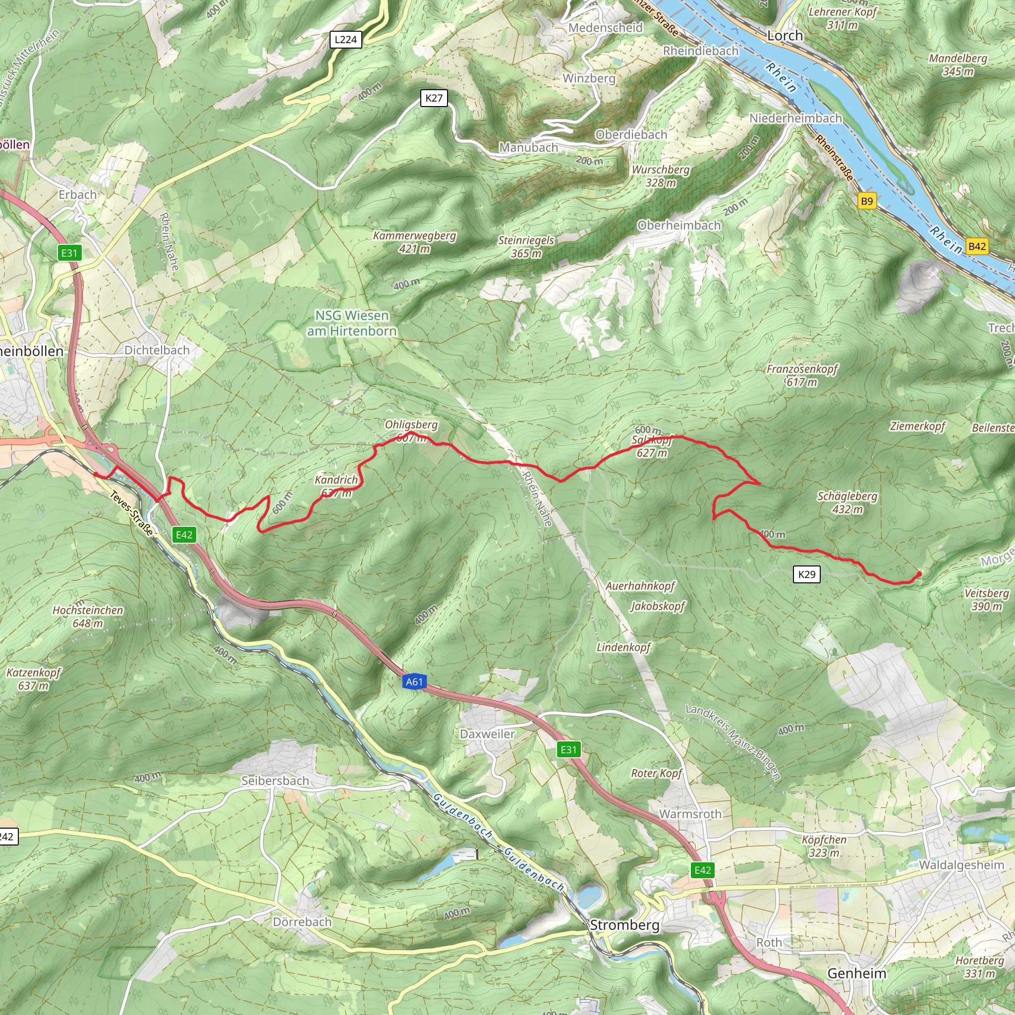 Rheinbollerhutte to Forsthaus Jagerhaus Walk via Kandrich mobile static map