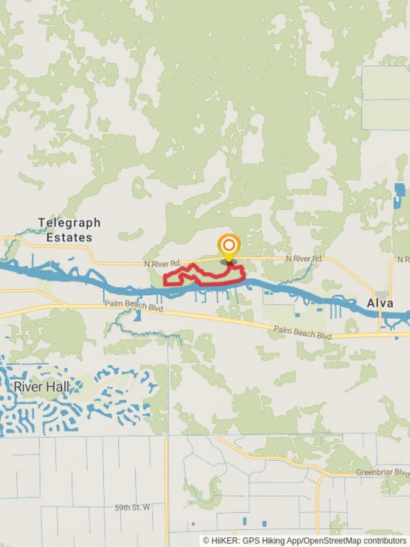 An image depicting the trail Oxbow - Saw Palmetto -Shoreline Loop Trail and its surrounding area.