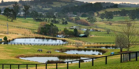 An image depicting the trail The Riesling Trail and its surrounding area.
