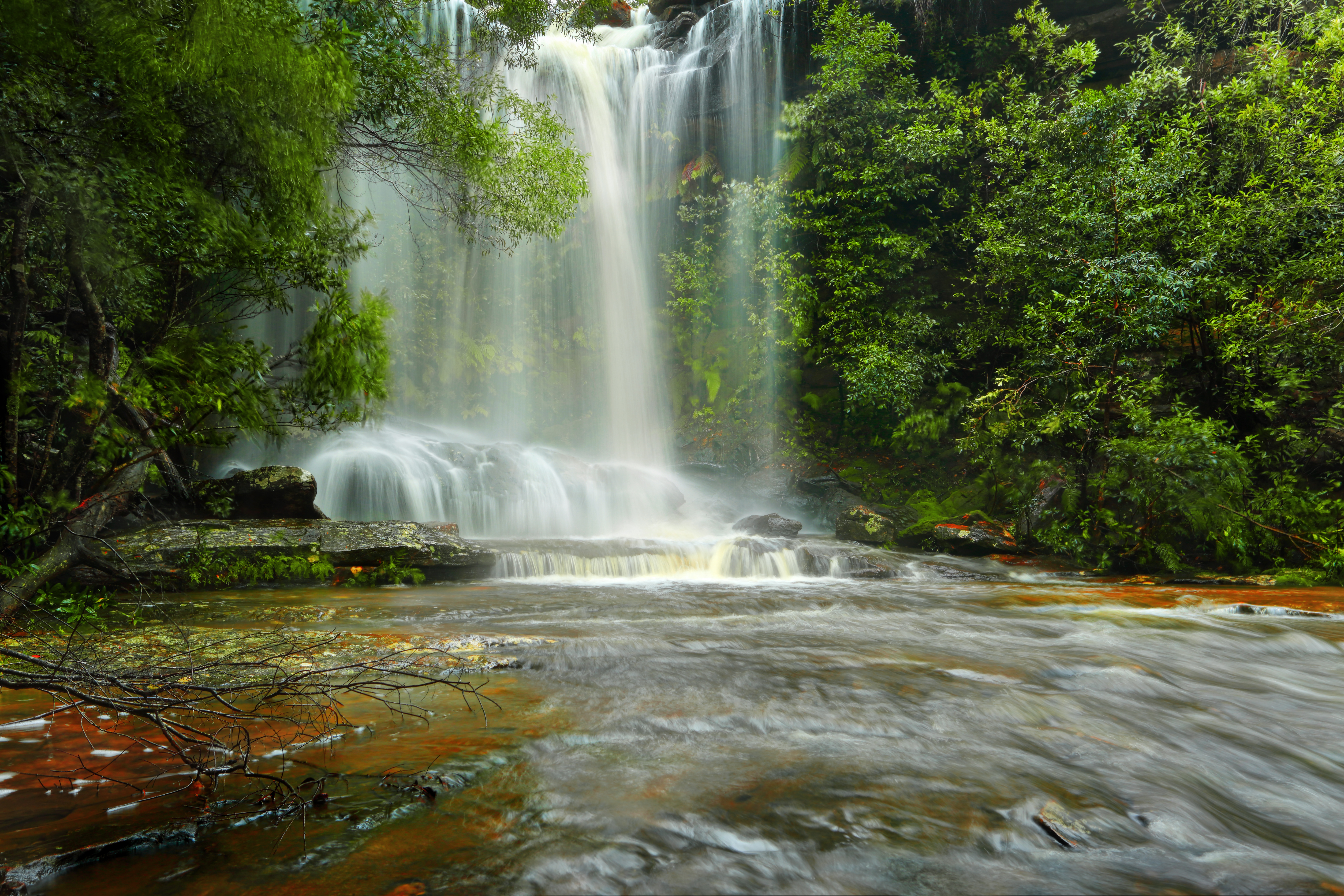 An image depicting the trail Royal National Park and its surrounding area.