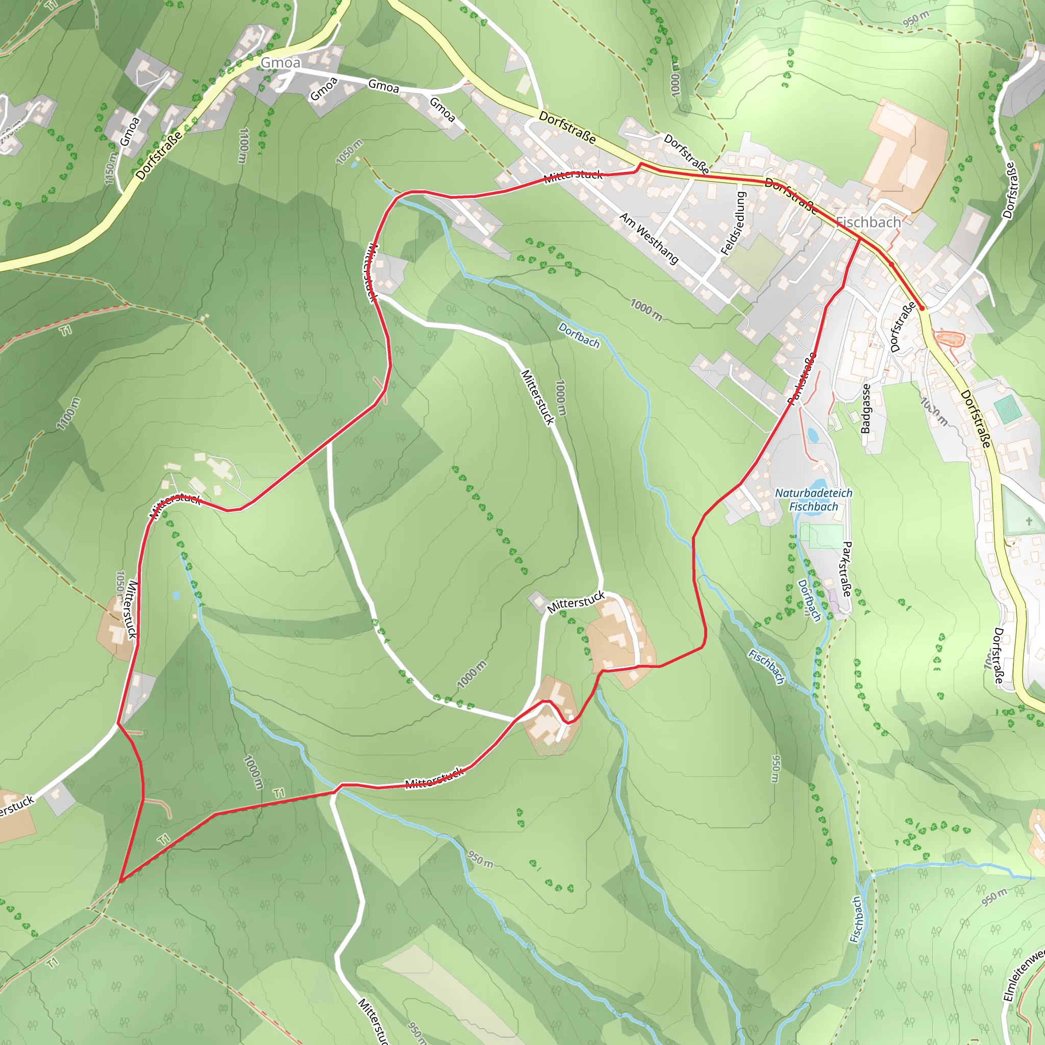 Fischbach Village Loop Trail mobile static map