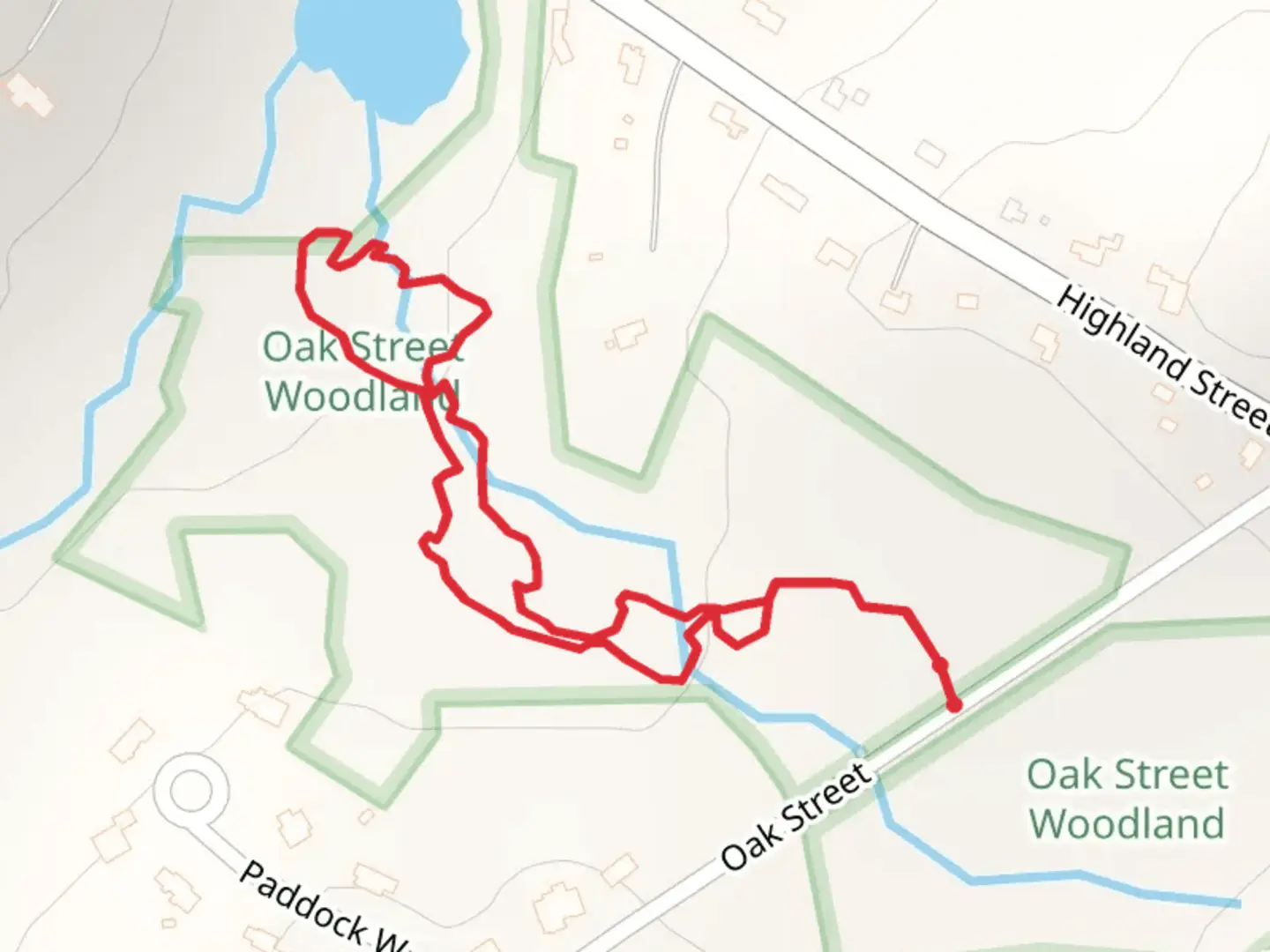 An image depicting the trail Cove Brook Loop and its surrounding area.