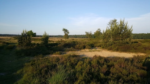 Grafheuvels, Het Wijde Veld and Mechelsche Kuil Loop