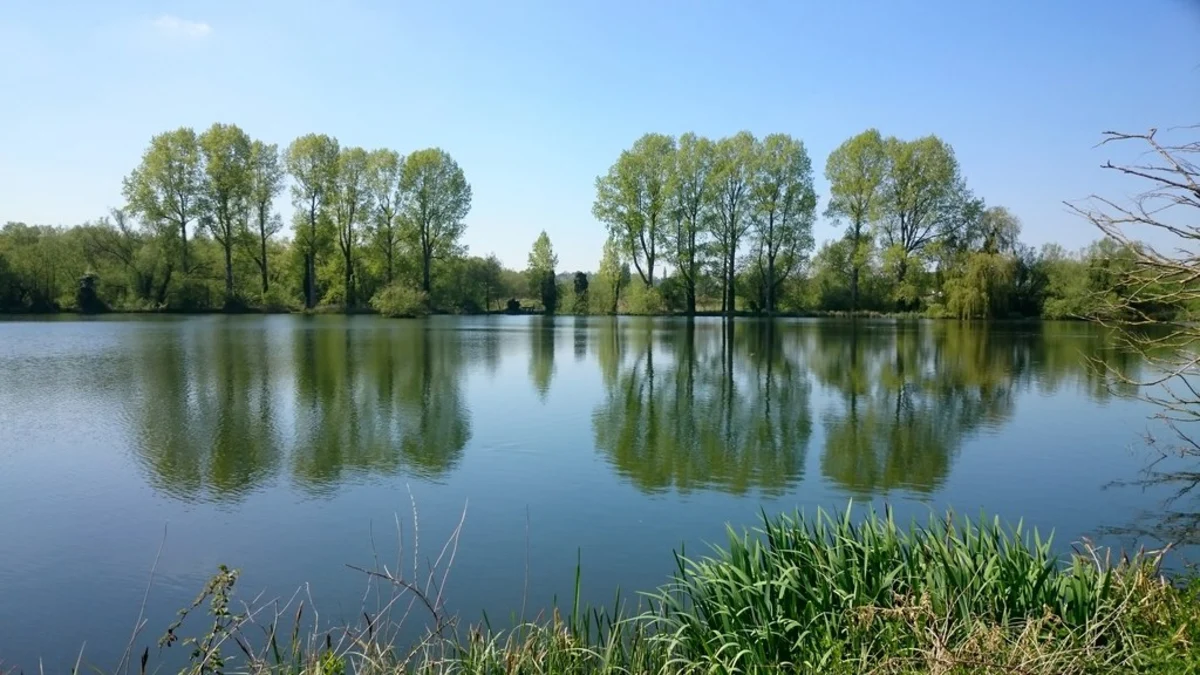 Watford to Hayes Walk