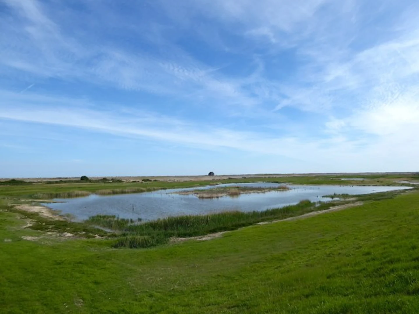 An image depicting the trail Rye Harbour Nature Reserve and Long Pit Loop and its surrounding area.