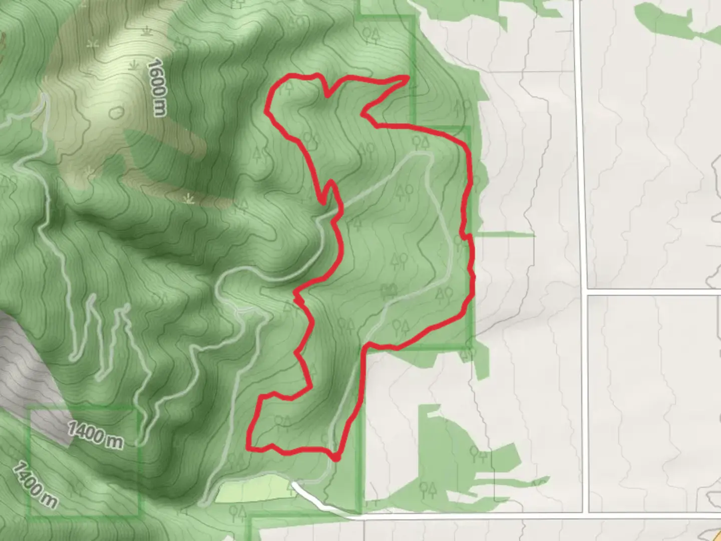 An image depicting the trail Larry Creek Loop Trail and its surrounding area.