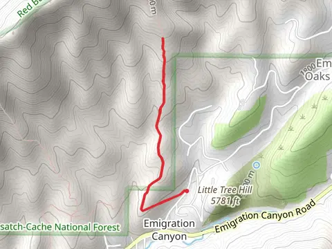 Pioneer Fork Road Walk