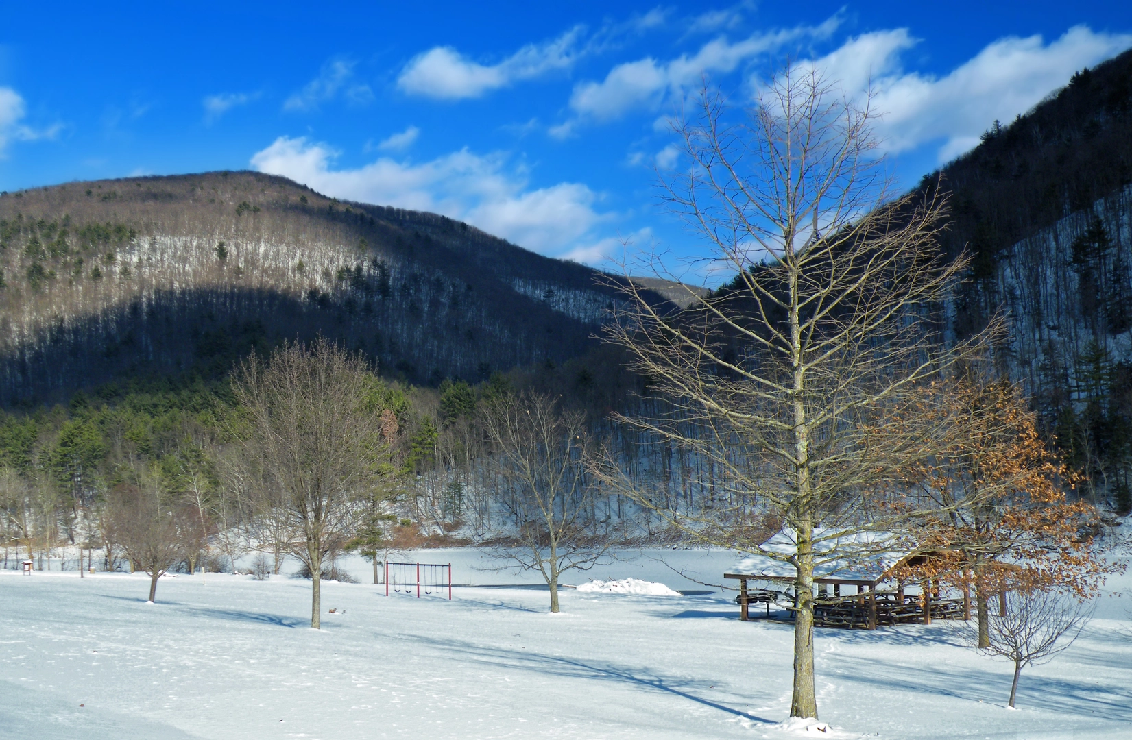 An image depicting the trail Panther Run Trail and Love Run Trail Loop and its surrounding area.