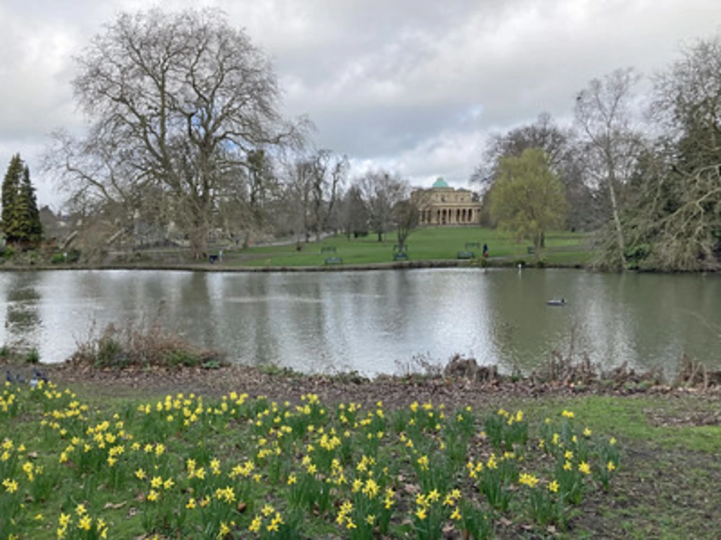 An image depicting the trail Clarence Square and Pittville Pond and its surrounding area.
