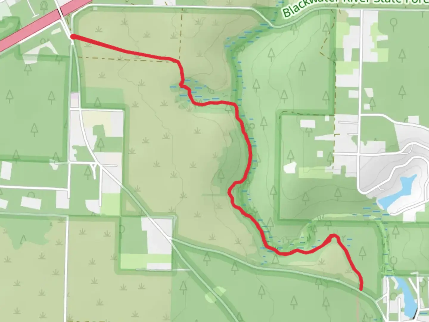 An image depicting the trail Burnt Grocery Creek - Florida Trail and its surrounding area.
